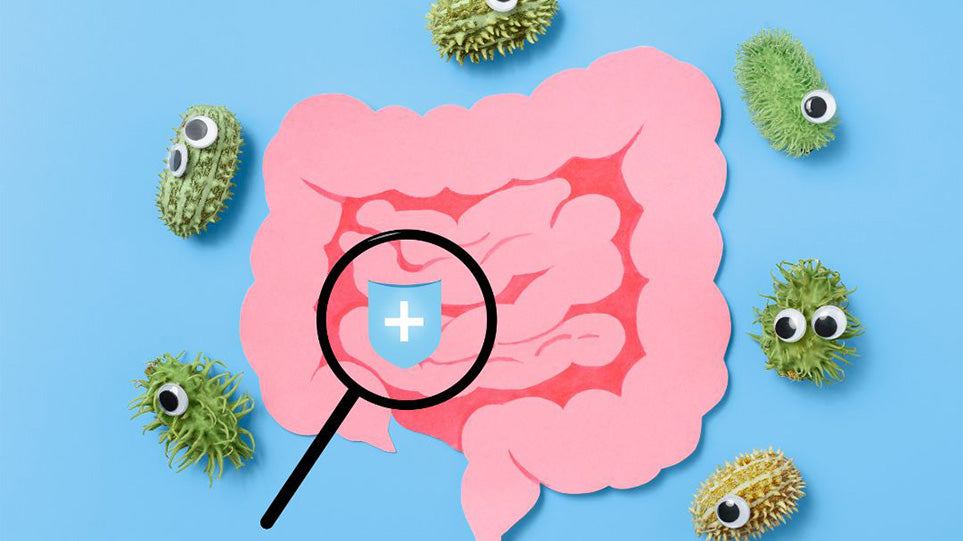 Why Your Gut Microbiome Matters for Overall Health