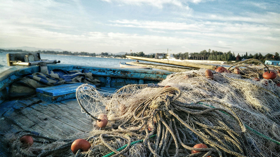 The Problem With Over Fishing and Why Green-Lipped Mussels Are the Sustainable Choice