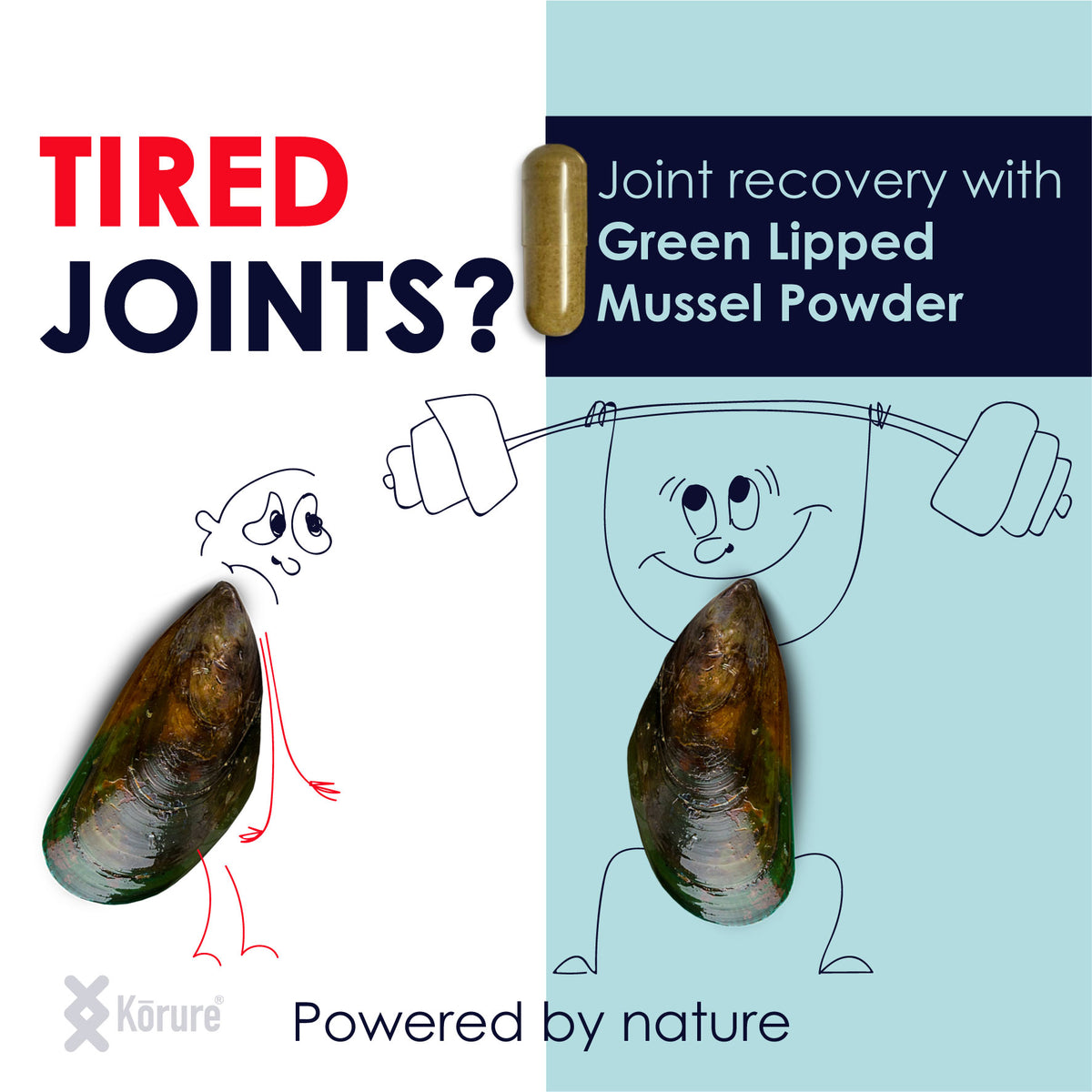 MP Powder - Green lipped mussel – Korure