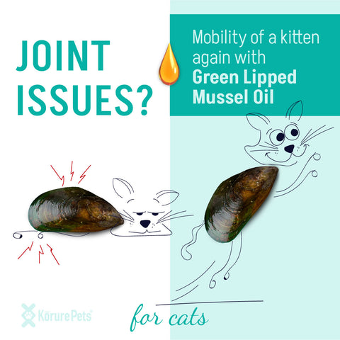 Christmas Pet & Owner Joint Oil Bundle *CAT*