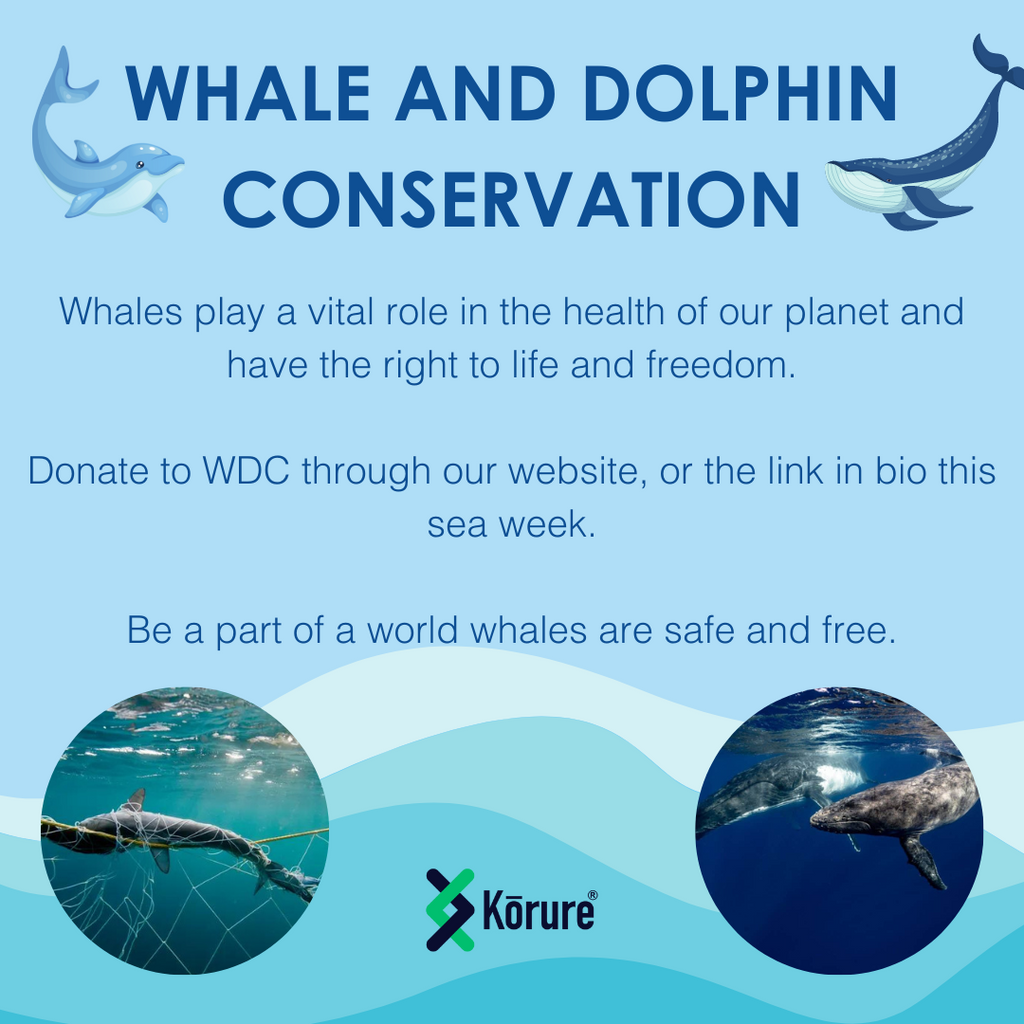 Donation for Whale and Dolphin Conservation